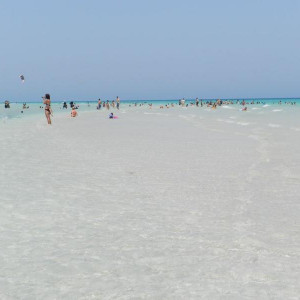 Praia na Ilha dos Flamingos