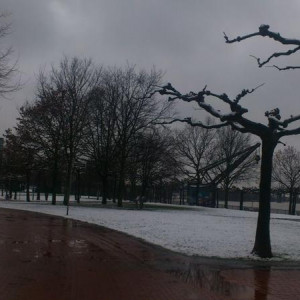 2013 02 06 10.30.40