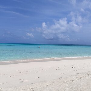 IMG_20210630_102650.jpg