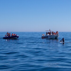 IMG_6746-2 (Copiar).jpg