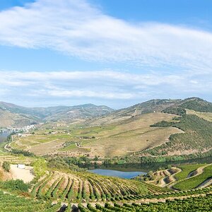 Douro - Setembro 2020 (120).jpg