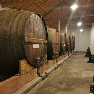 Douro - Setembro 2020 (21).jpg