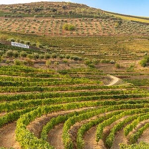 Douro - Setembro 2020 (32).jpg