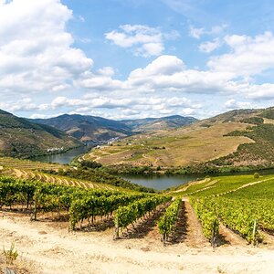 Douro - Setembro 2020 (77).jpg