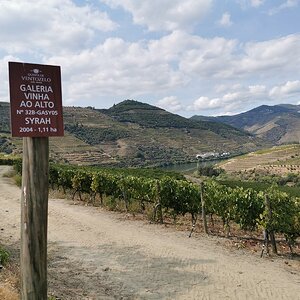 Douro - Setembro 2020 (75).jpg