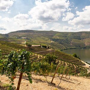 Douro - Setembro 2020 (71).jpg
