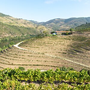 Douro - Setembro 2020 (52).jpg