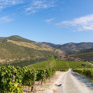 Douro - Setembro 2020 (50).jpg