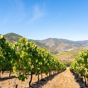 Douro - Setembro 2020 (47).jpg