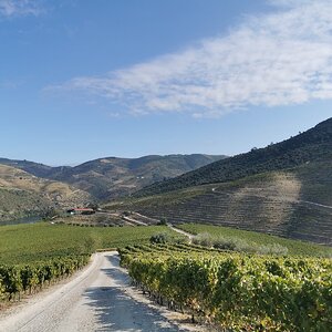 Douro - Setembro 2020 (46).jpg