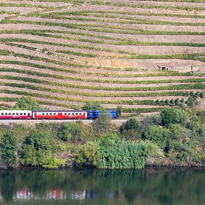 Douro - Setembro 2020 (42).jpg