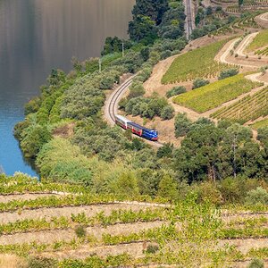 Douro - Setembro 2020 (41).jpg