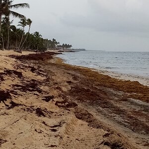 IMG_20210829_065838.jpg
