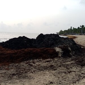 IMG_20210829_063907.jpg