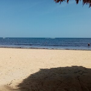 IMG_20210901_120129.jpg