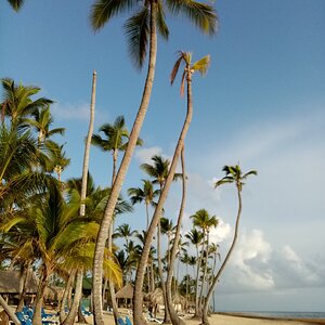 17.praia 5.jpg