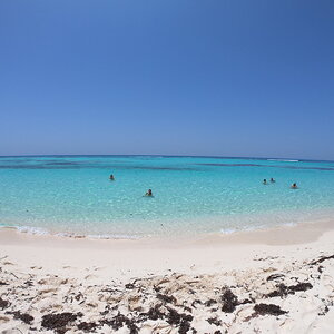 21.saona 9.JPG