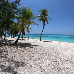 24.saona 11.JPG
