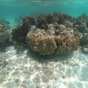 25.saona 7.JPG