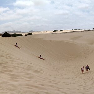 CV Pan 016 Deserto Viana (Copiar).jpg