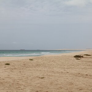 IMG_3955 (Copiar).JPG