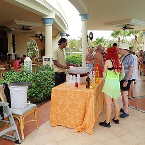 P7240082 (Copiar).JPG