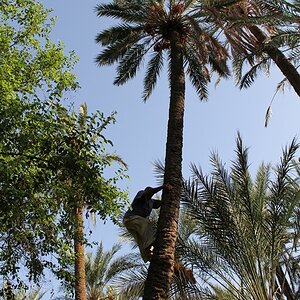 TunisiaR 56.JPG
