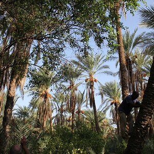 TunisiaR 57.JPG