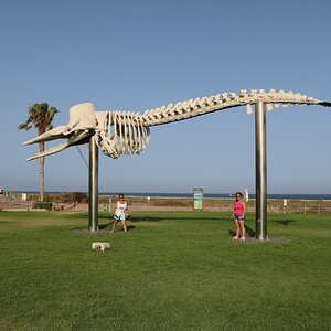 Fuerteventura 0279 (Cópia).JPG