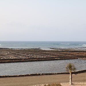 Fuerteventura 0333 (Cópia).JPG