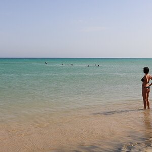 Fuerteventura 0888 (Cópia).jpg