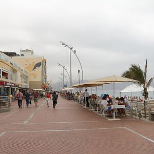 GCanaria 0405 (Report).JPG