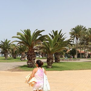 GCanaria_stitch 081 (Report).jpg