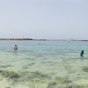 GCanaria_stitch 219 (Cópia).jpg