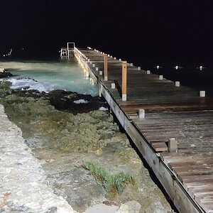 IMG_20211012_235518.jpg