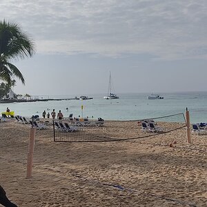 IMG_20211013_083113.jpg