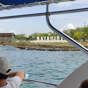 IMG_20211013_100232.jpg