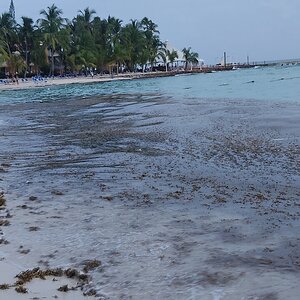 IMG_20211013_181305.jpg