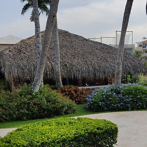 IMG_20211014_074549.jpg