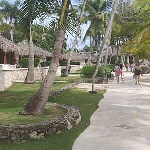 IMG_20211014_143445.jpg