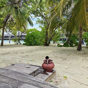 20211018_111358 (Copiar).jpg