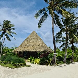 20211026_121503 (Copiar).jpg