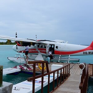 DSC_4845 (Copiar).JPG