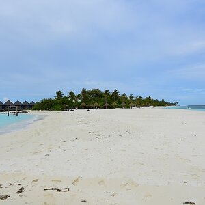 DSC_4897 (Copiar).JPG