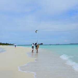 DSC_4957 (Copiar).JPG