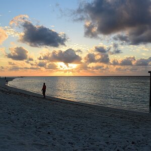 DSC_5259 (Copiar).JPG