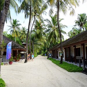 DSC_5347 (Copiar).JPG