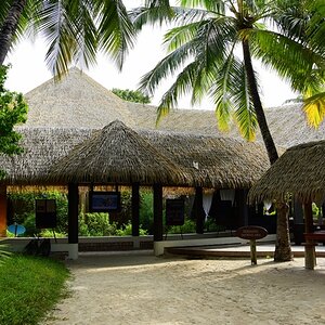 DSC_5359 (Copiar).JPG