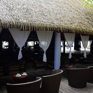DSC_5361 (Copiar).JPG