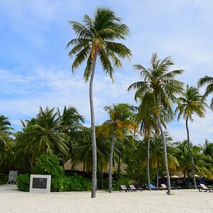 DSC_5365 (Copiar).JPG